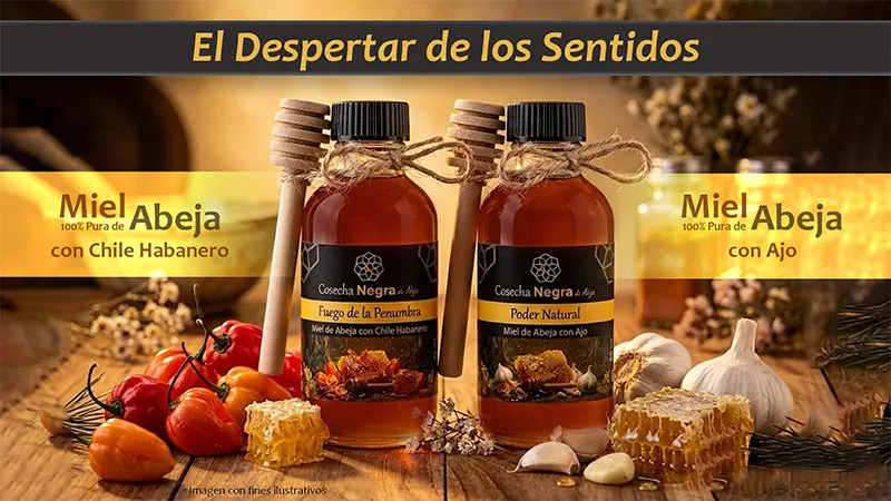 Anuncio 1